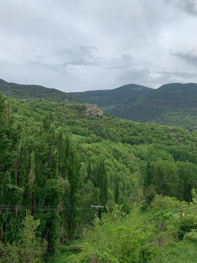 Apartamentsaloriaburg Farrera Bagian luar foto